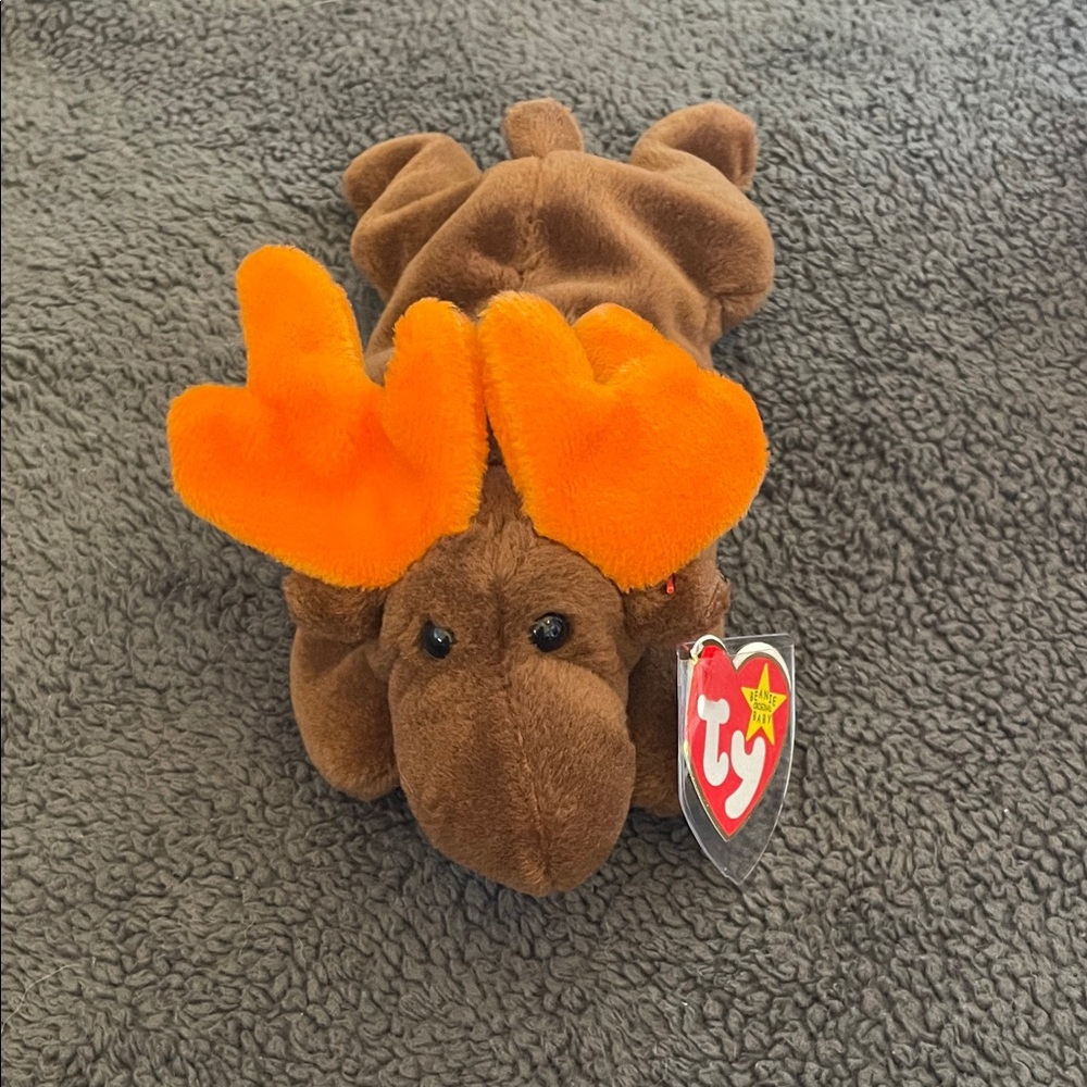 Ty Beanie Baby “Chocolate” the Moose